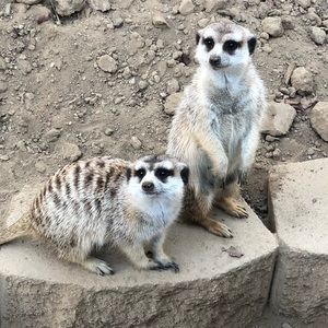 Meet your Posher, Ann